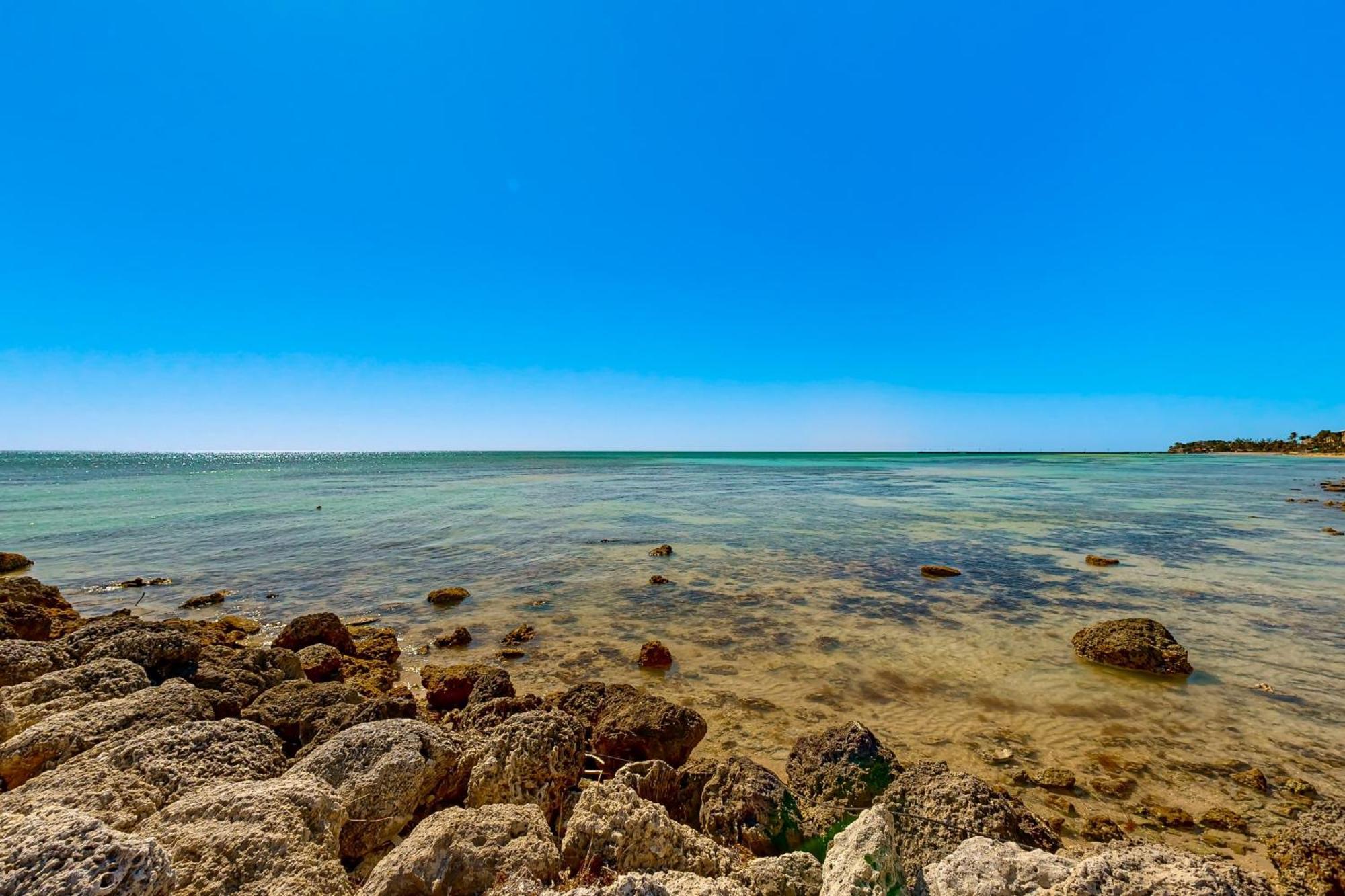 Coconut Palms Villa Key West Ruang foto